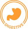 digestive digestive